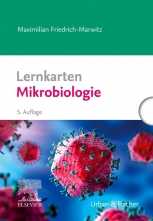Lernkarten Mikrobiologie. 
